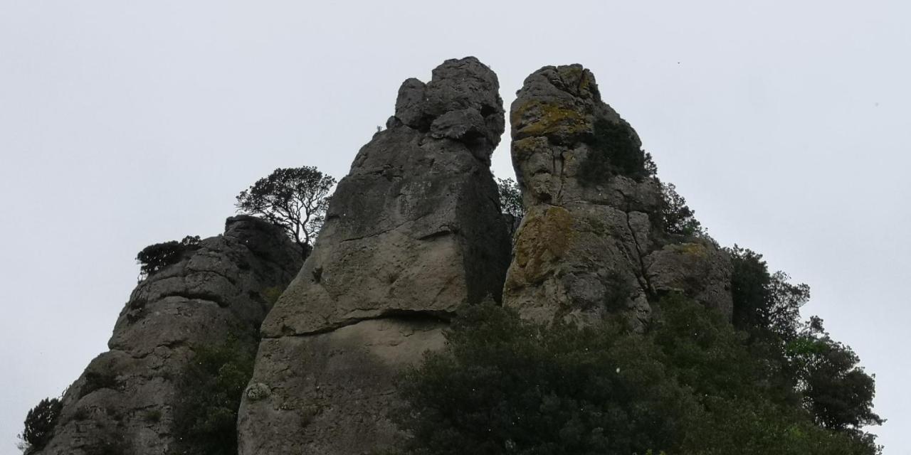 Saint-Saturnin-de-Lucian Le Mimosa B&B 외부 사진