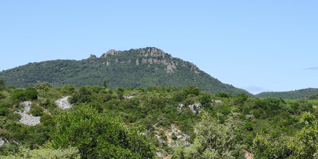 Saint-Saturnin-de-Lucian Le Mimosa B&B 외부 사진