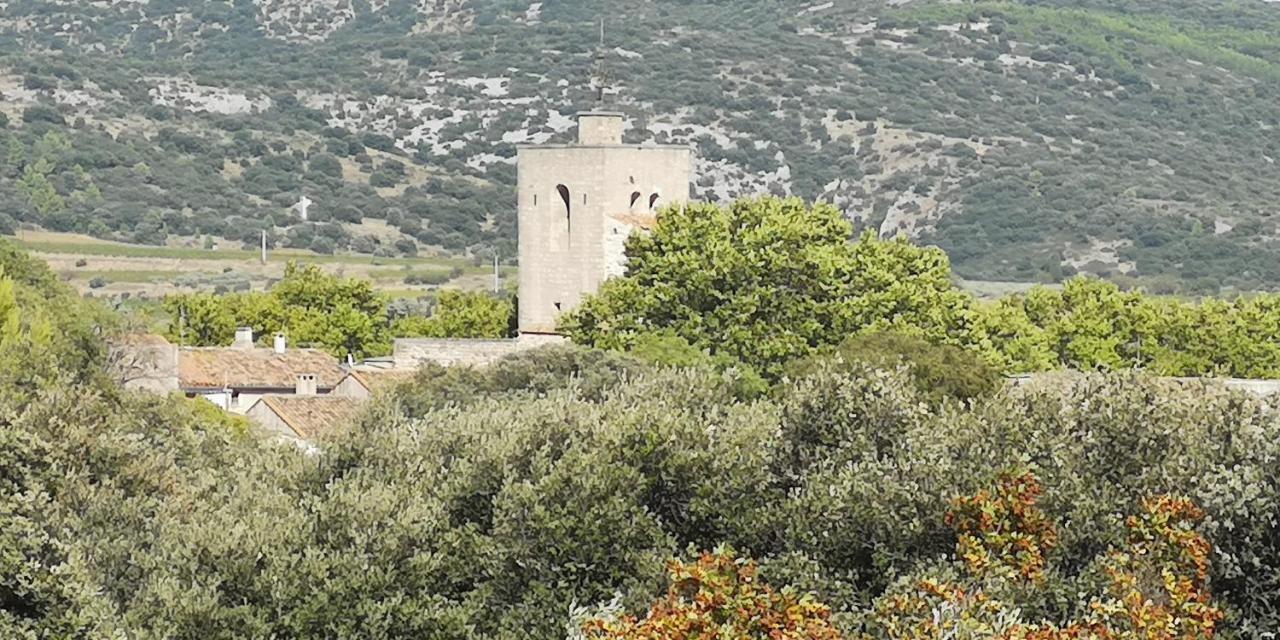 Saint-Saturnin-de-Lucian Le Mimosa B&B 외부 사진