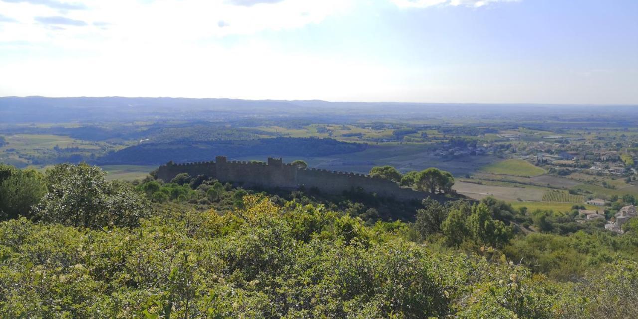 Saint-Saturnin-de-Lucian Le Mimosa B&B 외부 사진