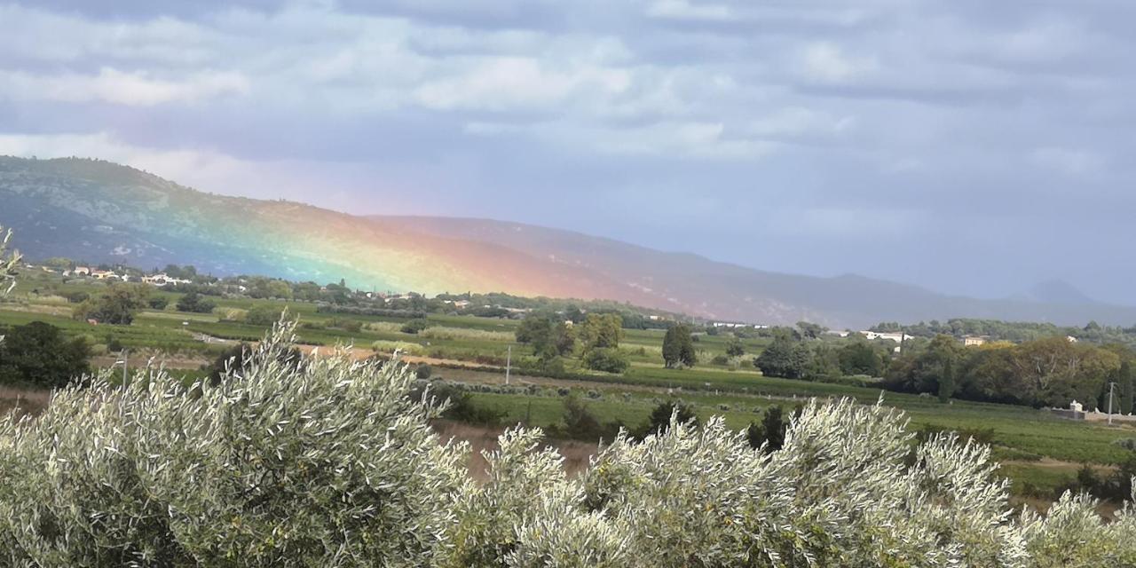Saint-Saturnin-de-Lucian Le Mimosa B&B 외부 사진