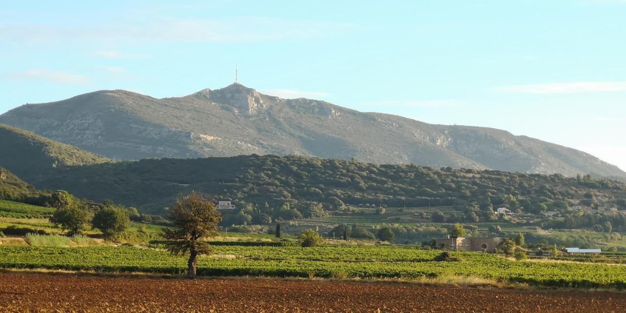 Saint-Saturnin-de-Lucian Le Mimosa B&B 외부 사진