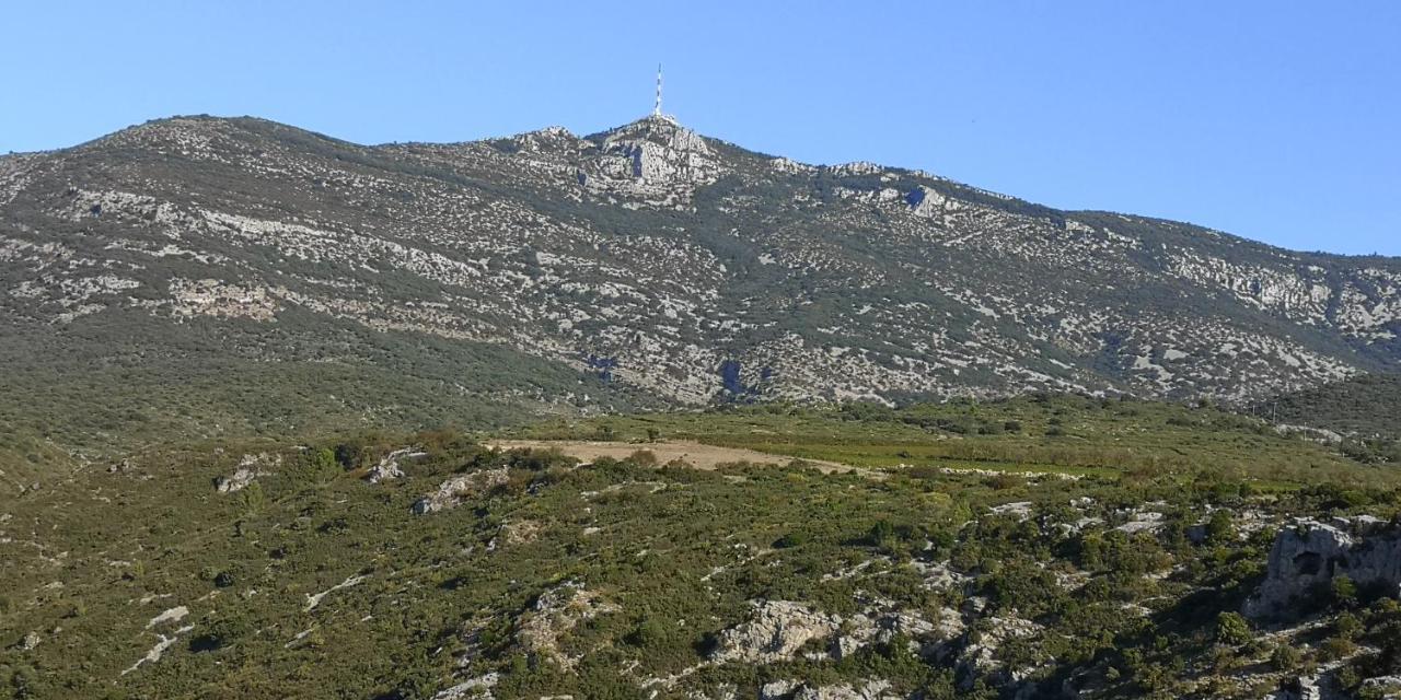 Saint-Saturnin-de-Lucian Le Mimosa B&B 외부 사진