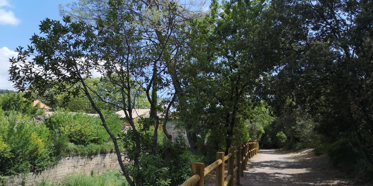 Saint-Saturnin-de-Lucian Le Mimosa B&B 외부 사진
