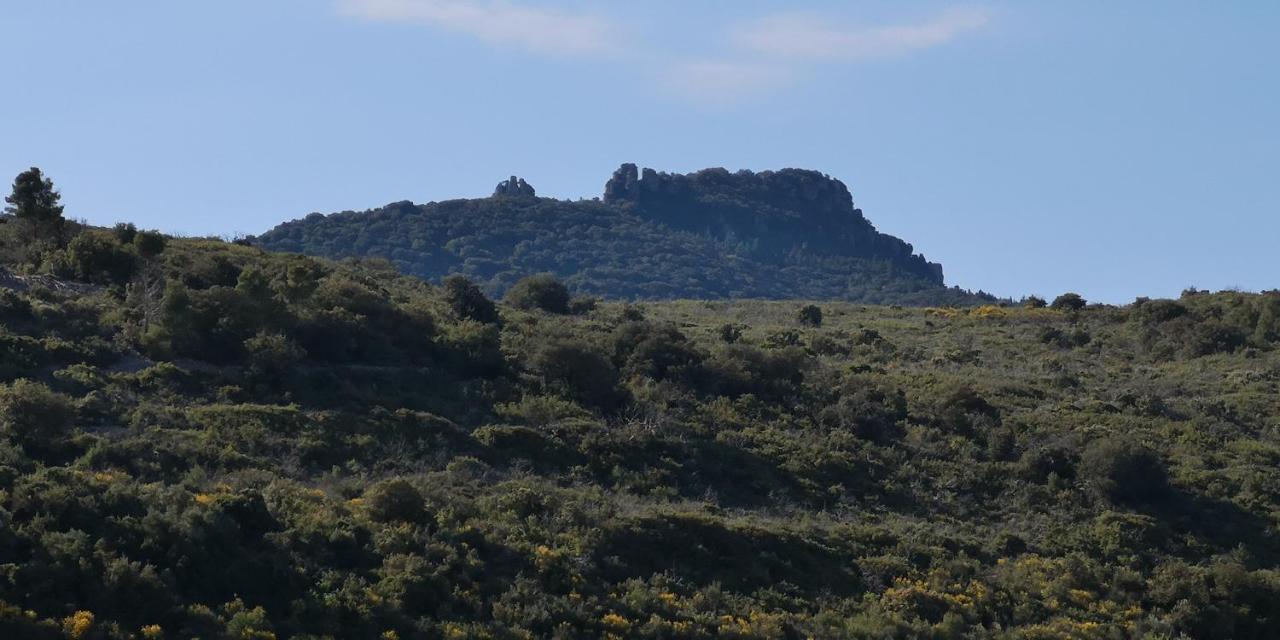 Saint-Saturnin-de-Lucian Le Mimosa B&B 외부 사진