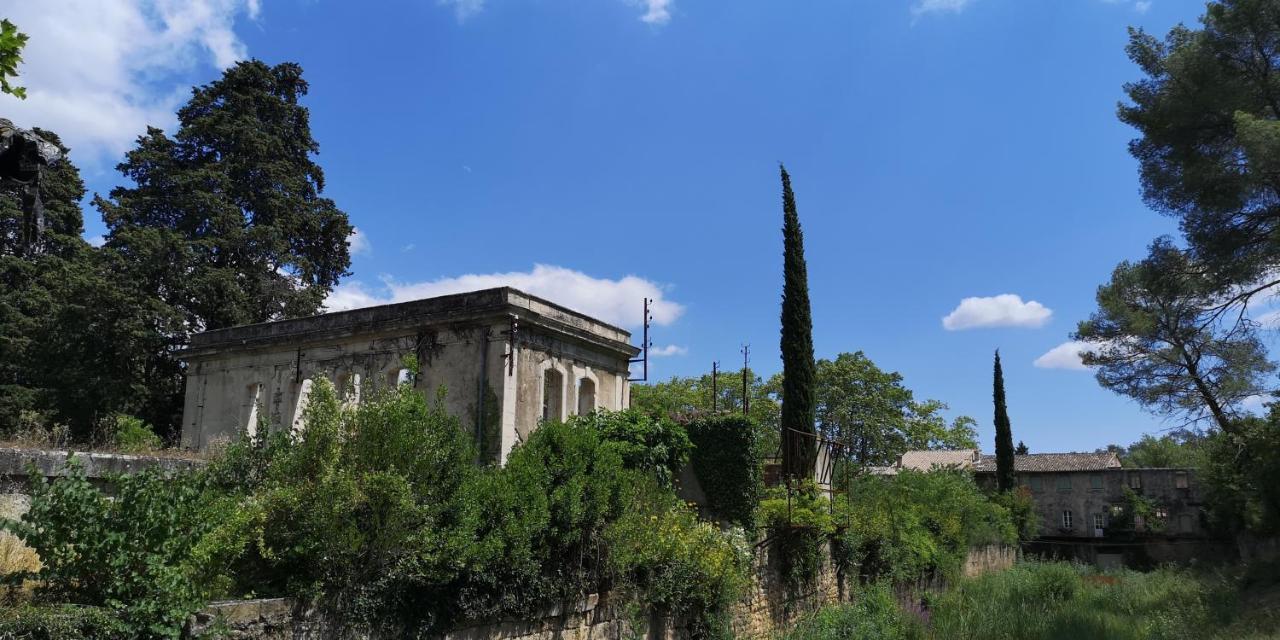 Saint-Saturnin-de-Lucian Le Mimosa B&B 외부 사진