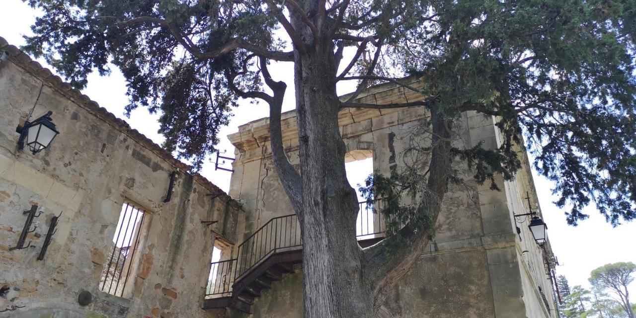 Saint-Saturnin-de-Lucian Le Mimosa B&B 외부 사진